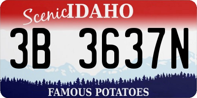 ID license plate 3B3637N
