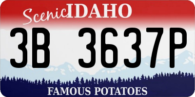 ID license plate 3B3637P