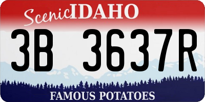 ID license plate 3B3637R