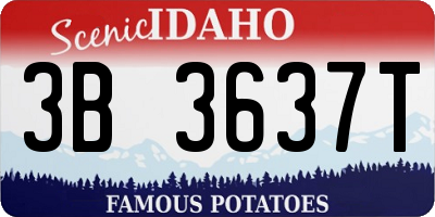 ID license plate 3B3637T