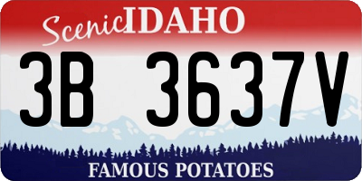 ID license plate 3B3637V