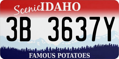 ID license plate 3B3637Y