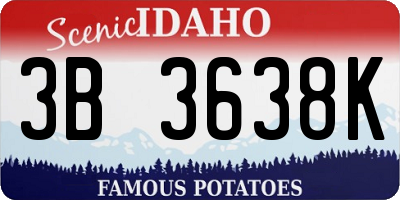 ID license plate 3B3638K