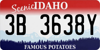 ID license plate 3B3638Y