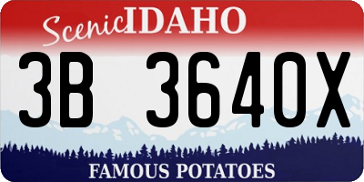 ID license plate 3B3640X