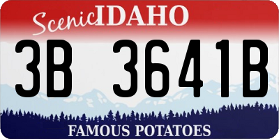 ID license plate 3B3641B