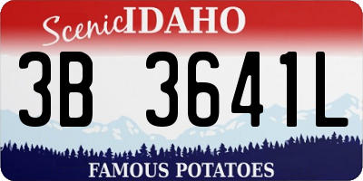 ID license plate 3B3641L