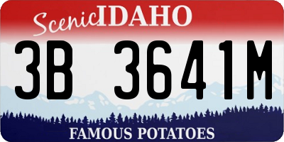 ID license plate 3B3641M