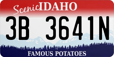 ID license plate 3B3641N