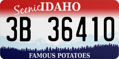 ID license plate 3B3641O