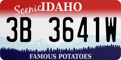 ID license plate 3B3641W