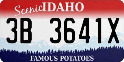 ID license plate 3B3641X