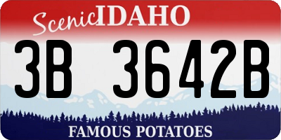 ID license plate 3B3642B