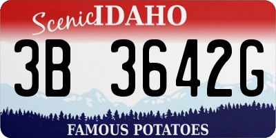 ID license plate 3B3642G