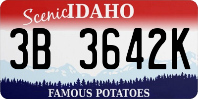 ID license plate 3B3642K