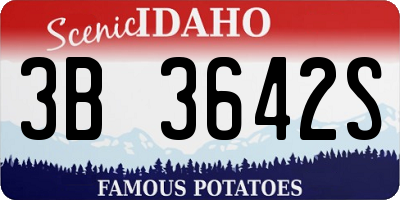 ID license plate 3B3642S