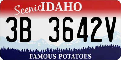 ID license plate 3B3642V
