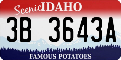 ID license plate 3B3643A