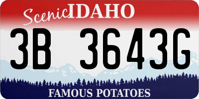 ID license plate 3B3643G