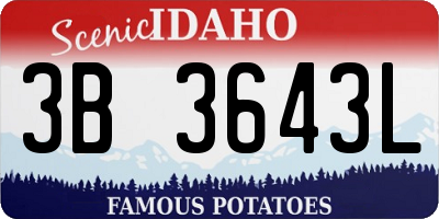 ID license plate 3B3643L