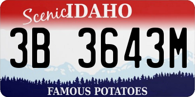 ID license plate 3B3643M