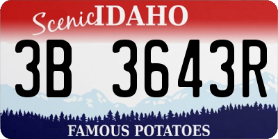 ID license plate 3B3643R