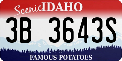ID license plate 3B3643S