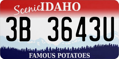 ID license plate 3B3643U