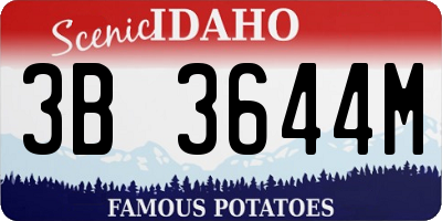 ID license plate 3B3644M