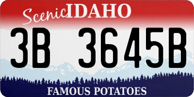 ID license plate 3B3645B