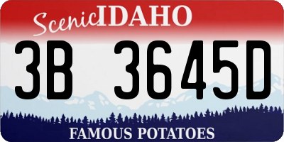 ID license plate 3B3645D
