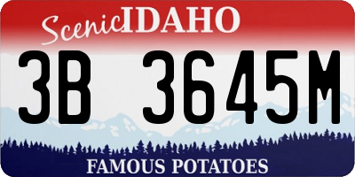 ID license plate 3B3645M