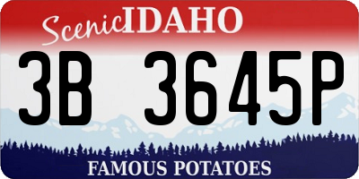 ID license plate 3B3645P