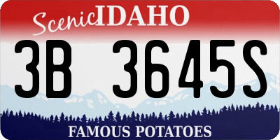 ID license plate 3B3645S
