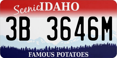 ID license plate 3B3646M