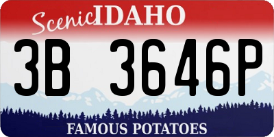 ID license plate 3B3646P