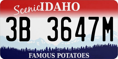 ID license plate 3B3647M