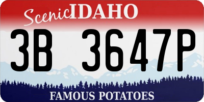 ID license plate 3B3647P