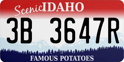 ID license plate 3B3647R