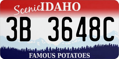 ID license plate 3B3648C