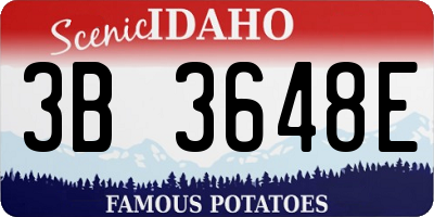 ID license plate 3B3648E