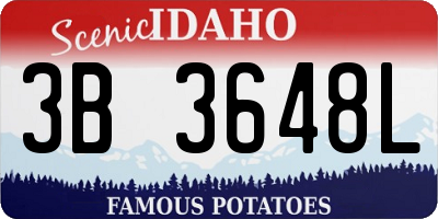 ID license plate 3B3648L