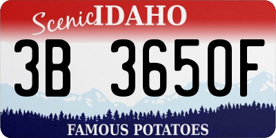 ID license plate 3B3650F