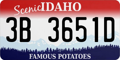 ID license plate 3B3651D