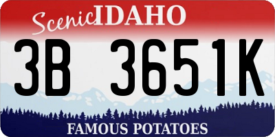 ID license plate 3B3651K