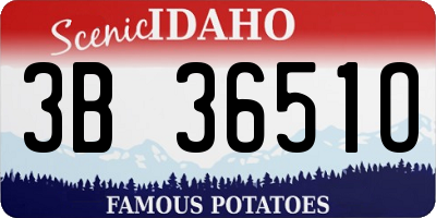 ID license plate 3B3651O