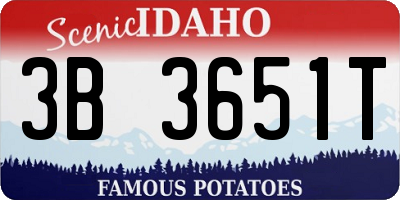 ID license plate 3B3651T