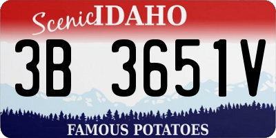 ID license plate 3B3651V