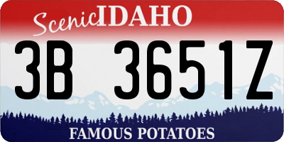 ID license plate 3B3651Z