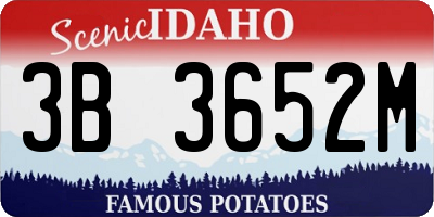 ID license plate 3B3652M